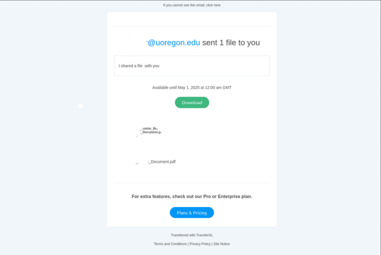 Image that presents when link is clicked